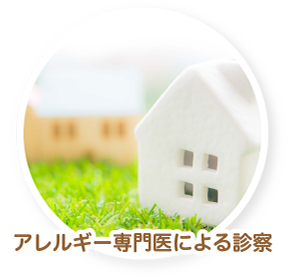 アレルギー専門医による診察